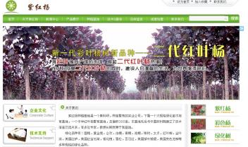 紫紅楊，紫紅楊，種植基地是一個集科研，種苗繁育的實業(yè)公司