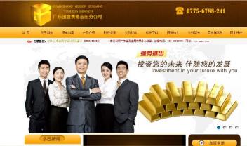 廣西國金投資
