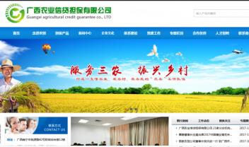 廣西農(nóng)業(yè)信貸擔(dān)保有限公司